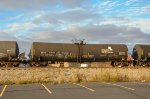 SDPX Tank Car